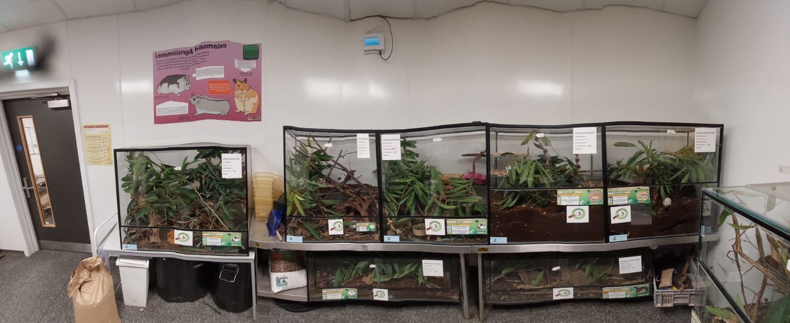 Small mammal and reptile room — enclosure layout