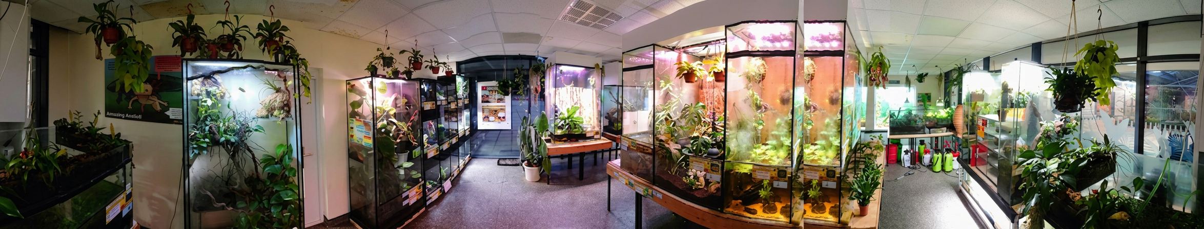 Amphibian Zone Design