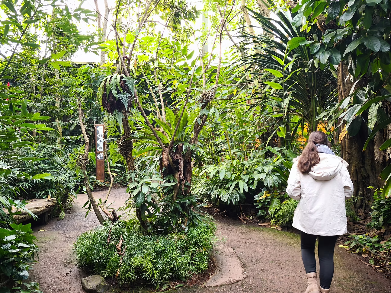 Bioactive Habitats in Animal Collections