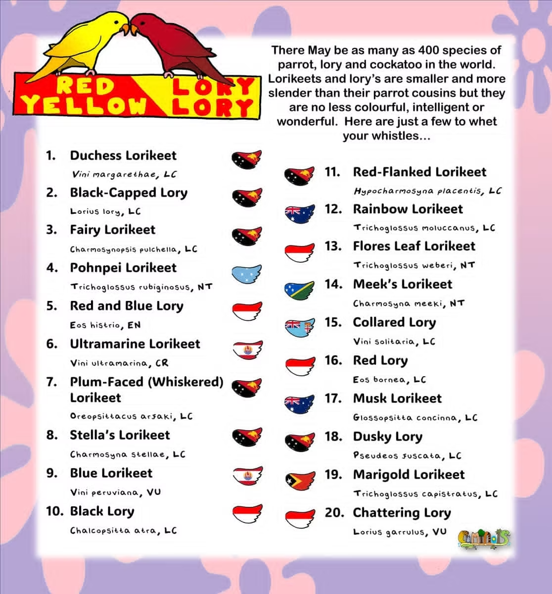 Numbered species list of 20 lorikeets and lories with scientific names and IUCN status