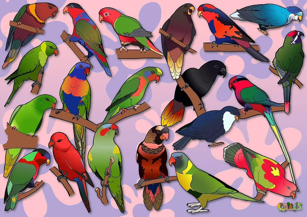The Colourful World of Fabulous Lorikeets