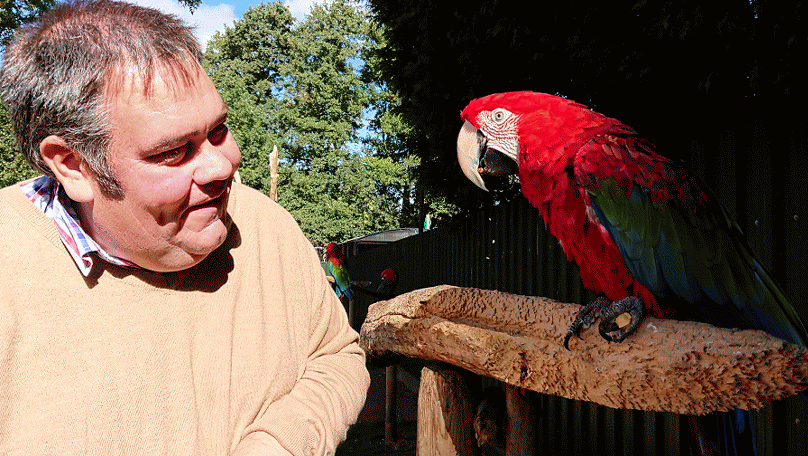 Macaw Flight