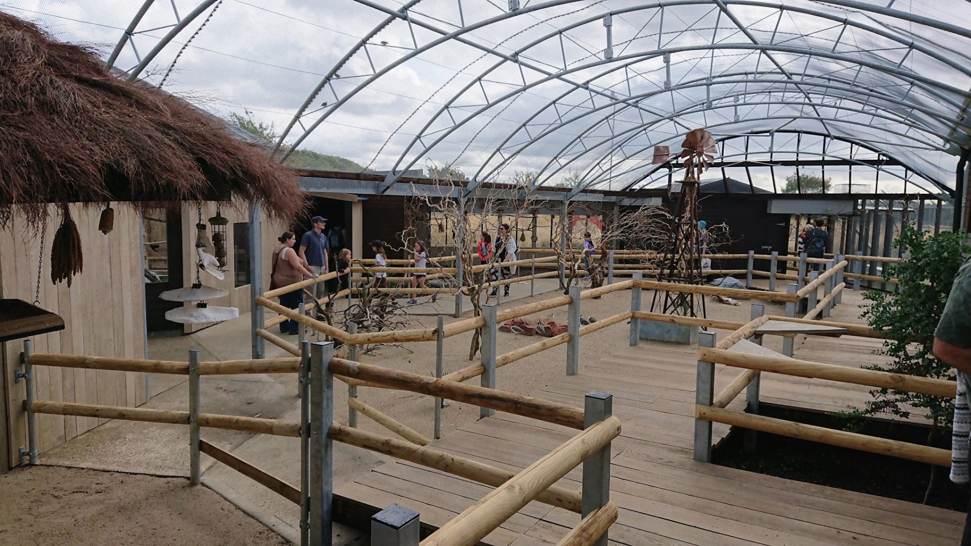 A Visit to Hamerton Zoo Park: A Hidden Gem for Australasian Wildlife