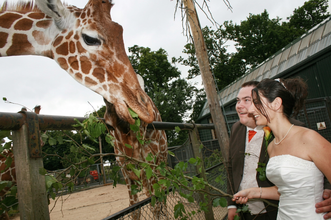 Carl & Elaine's Zoo Wedding