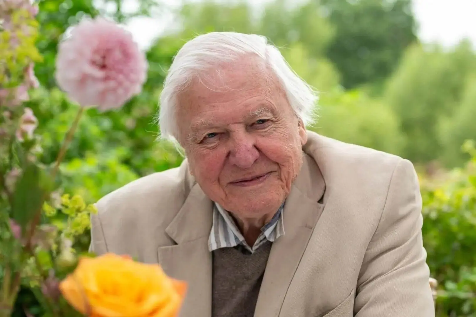 Sir David Attenborough at 100: A Global Ambassador for the Natural World