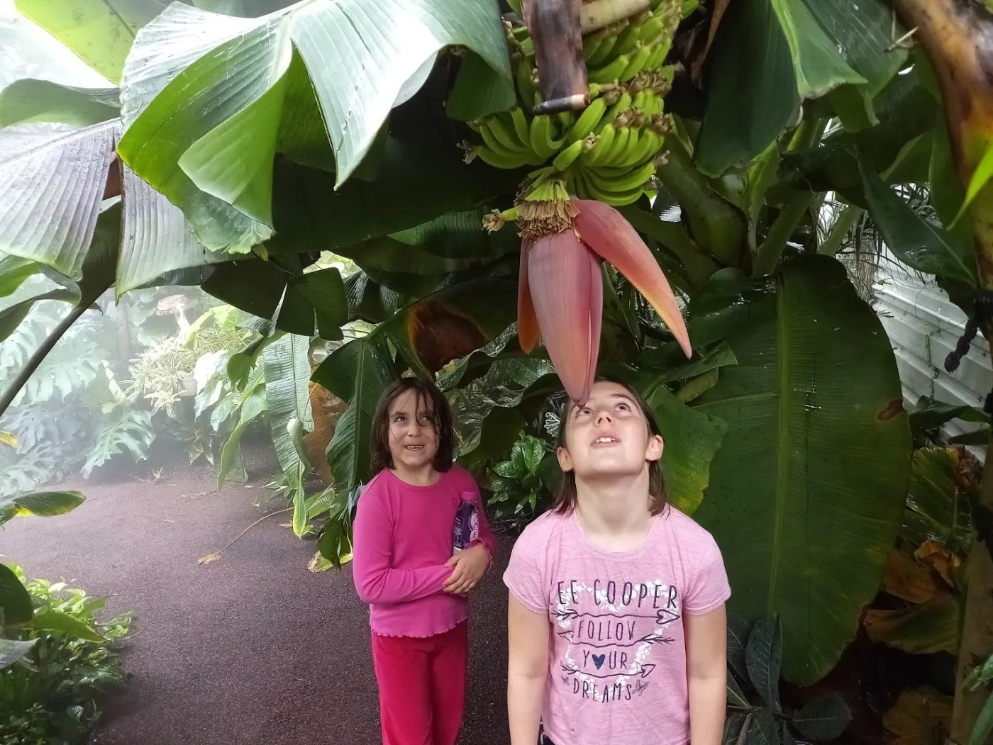 South American Biome