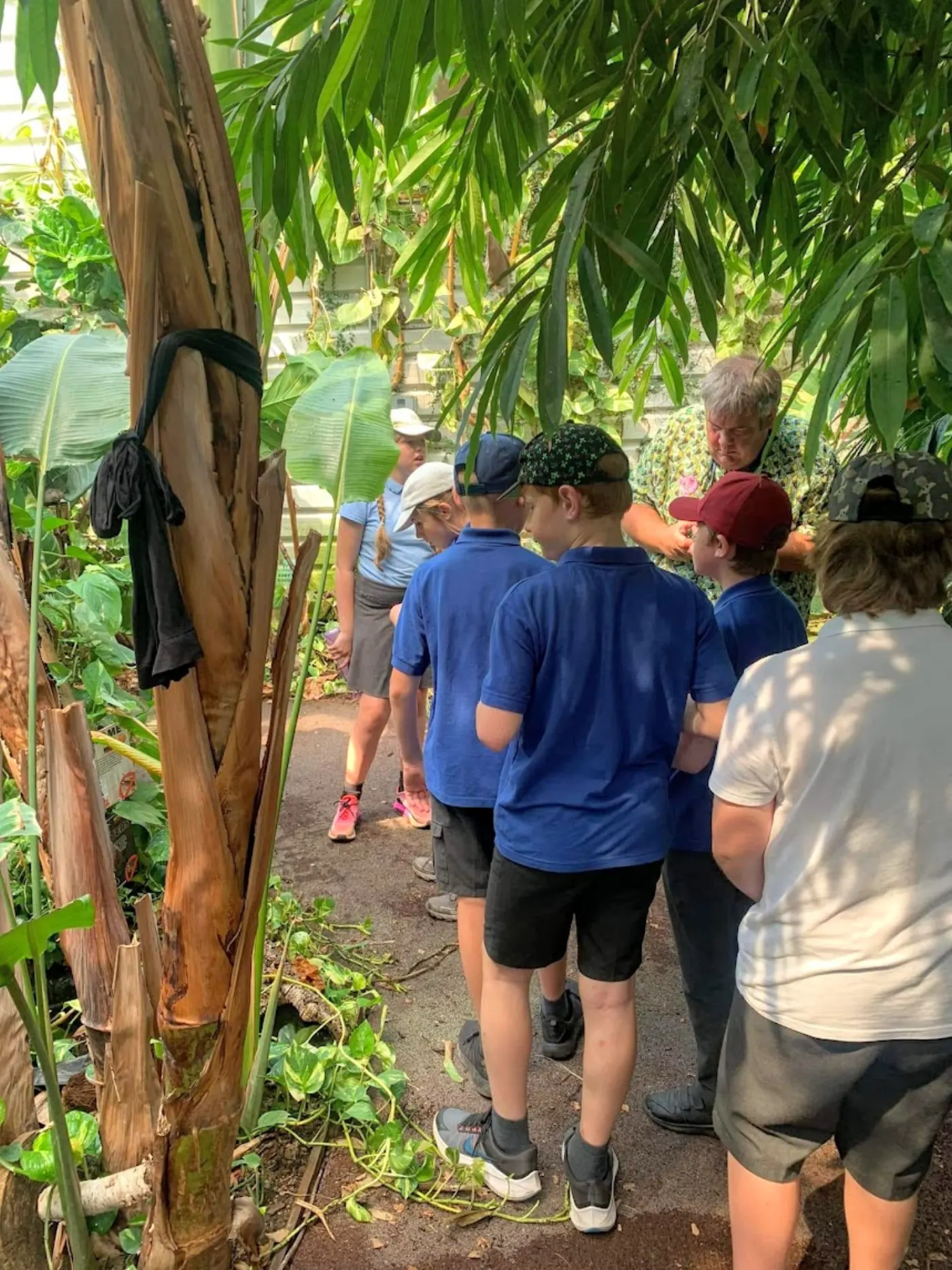School Zoo Day or Elective Visits