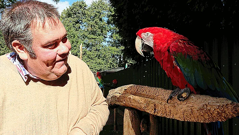 Free-flight macaw aviary on a restricted site